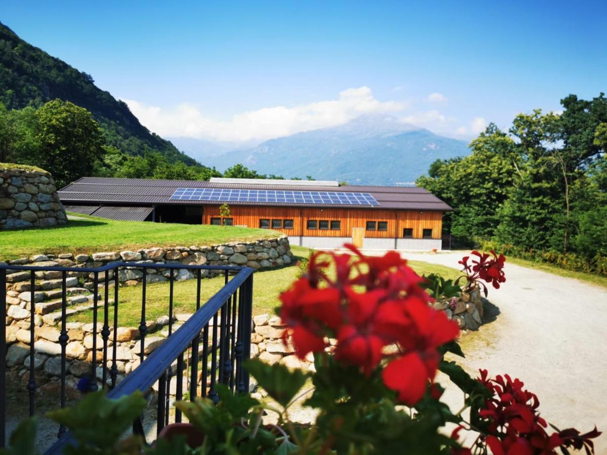 Agriturismo La Ca' D'Amelio Lessolo Экстерьер фото