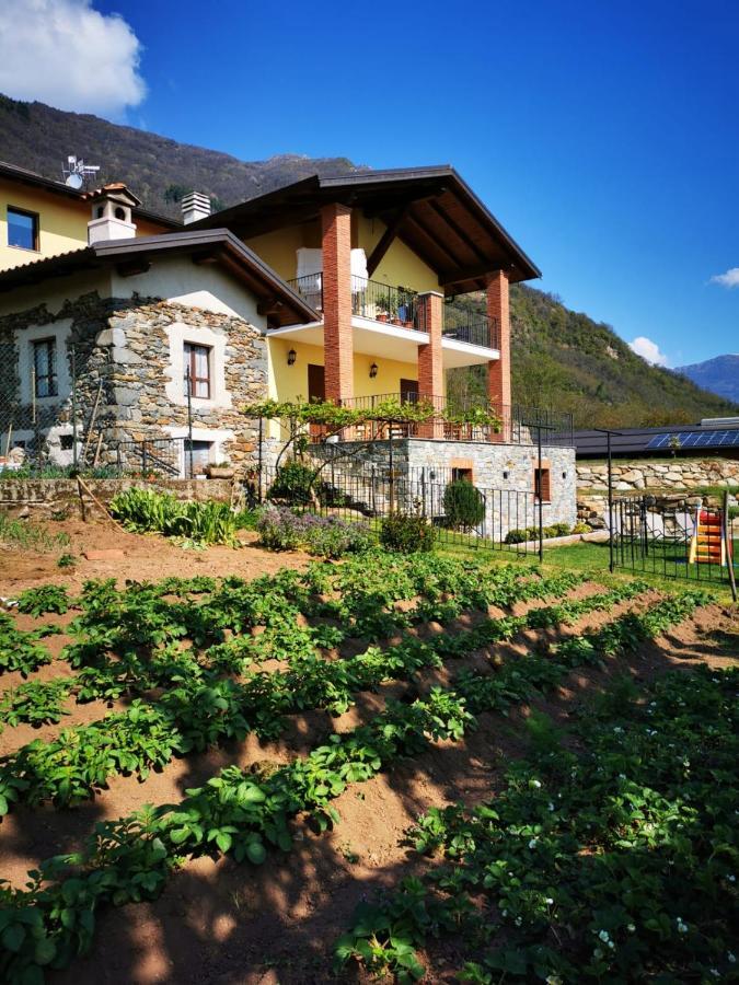 Agriturismo La Ca' D'Amelio Lessolo Экстерьер фото